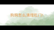 狗狗怎么清理肛门