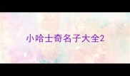 小哈士奇名子大全