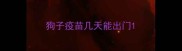 狗子疫苗几天能出门