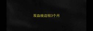 双血统边牧3个月