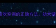 6个月大哈士奇吹空调的正确方法幼犬健康护理全攻略