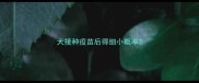 犬接种疫苗后得细小概率
