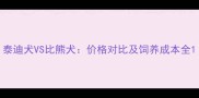 泰迪犬VS比熊犬价格对比及饲养成本全