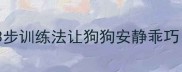 拉布拉多1岁很闹怎么办3步训练法让狗狗安静乖巧附1岁黄金期养护指南