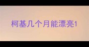 柯基几个月能漂亮