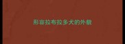 形容拉布拉多犬的外貌