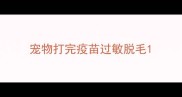 宠物打完疫苗过敏脱毛