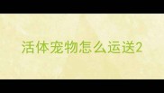 活体宠物怎么运送
