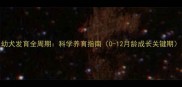幼犬发育全周期科学养育指南0-12月龄成长关键期