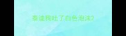 泰迪狗吐了白色泡沫