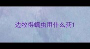 边牧得螨虫用什么药