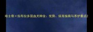 哈士奇拉布拉多混血犬种全优势培育指南与养护要点