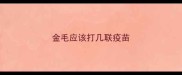 金毛应该打几联疫苗