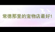 常德那里的宠物店最好