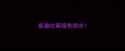 泰迪吐黄绿色的水