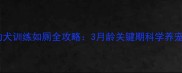 德牧幼犬训练如厕全攻略3月龄关键期科学养宠指南