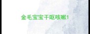 金毛宝宝干呕咳嗽