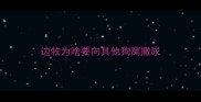 边牧为啥要向其他狗窝撒尿