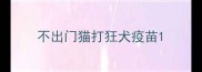 不出门猫打狂犬疫苗