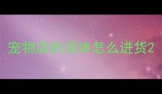 宠物店的活体怎么进货
