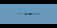 三个月的萨摩耶多少钱