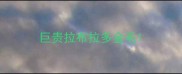 巨贵拉布拉多金毛