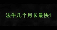 法牛几个月长最快