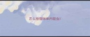 怎么给猫咪体内驱虫