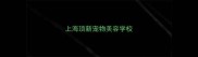 上海顶新宠物美容学校
