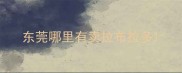东莞哪里有卖拉布拉多