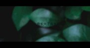 哈士奇长大了有多长