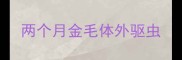 两个月金毛体外驱虫