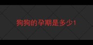 狗狗的孕期是多少