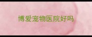 博爱宠物医院好吗