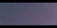 美国宠物打疫苗多少钱