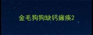 金毛狗狗缺钙瘫痪