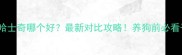 德牧vs哈士奇哪个好最新对比攻略养狗前必看干货