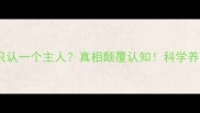 狗狗一生只认一个主人真相颠覆认知科学养宠必看指南