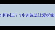 哈士奇护食狂魔如何纠正3步训练法让爱拆家的二哈变乖宝