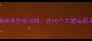 2个月大猫咪养护全攻略这10个关键点新手必看