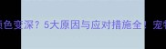猫咪粪便颜色变深5大原因与应对措施全宠物主人必看