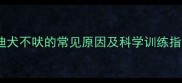 泰迪犬不吠的常见原因及科学训练指南