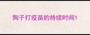 狗子打疫苗的持续时间
