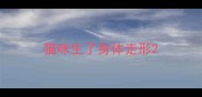 猫咪生了身体走形