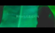 狗狗8个月是幼犬吗