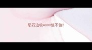 陨石边牧4000值不值