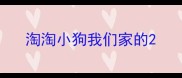 淘淘小狗我们家的