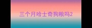 三个月哈士奇狗粮吗