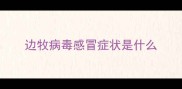 边牧病毒感冒症状是什么
