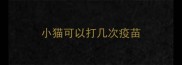 小猫可以打几次疫苗